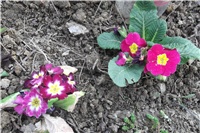 9e2af015-Picture 012.jpg